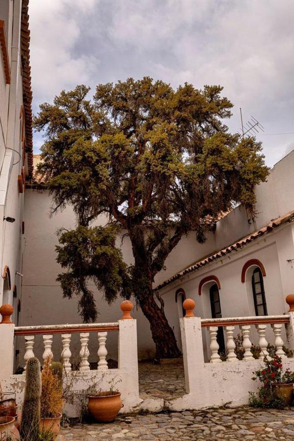 Colonial Affittacamere Potosí